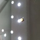 이지보청기 이미지