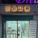 비숑다움 이미지