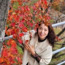 시니어건강댄스 이미지