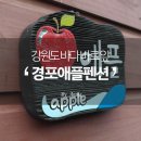 등명24시편의점 | 강원도 여행 경포대 근처 바다 바로 앞에 있는 펜션 추천 애플 펜션 후기