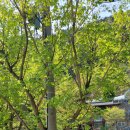 하늘빛 황토방 이미지