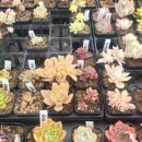 김재근농장 이미지