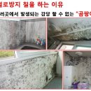 유일화학 이미지