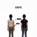 자세 개선 필라테스 B 이미지