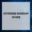 모어댄SMP 이미지