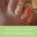 채내과의원 이미지
