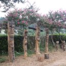 여천동주민센터 이미지