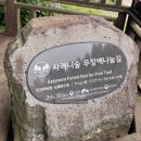 제주 사려니숲 무장애 나눔길 산책 제주에서 제일 사랑하는 곳