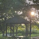 왕십리김밥 이미지