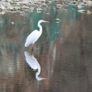 황전(순천) 이미지