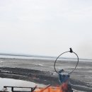 나문재관광농원 이미지