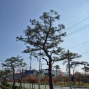 예솔조경 이미지