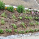 오산보건지소 이미지