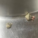 동수사랑동물병원 이미지