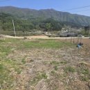 가평부동산펜션공인중개사사무소 이미지