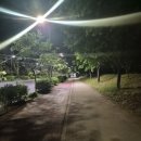 홍성군건강생활지원센터 | [임신일기 #12] 임신 27주차_태동, 식단, 산책