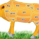 한우나라 이미지