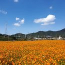 북평남창시장 이미지