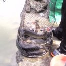 가현산낚시터 이미지