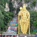 반딧불 프리미엄 이미지