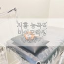 시흥 능곡역 왁싱 : 아프지 않고 깔끔한 눈썹 마이모 왁싱에서 받고 왔어요