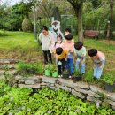 문산초병설유치원 이미지