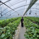 윤찬농장 이미지