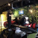 라피에스타 이미지