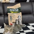 참치플러스 | [뉴트리플랜] 전연령플러스 참치맛 후기