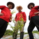 신문수농장 이미지