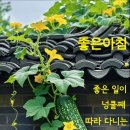 하하약국 이미지