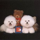 프리제(frise) 이미지