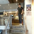 코시나(Cocina) 이미지