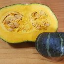 골말농장 이미지