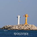 (주)부산여행사 이미지