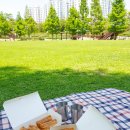 정직유부 정관점 이미지