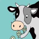 푸른사료 이미지