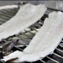 바다장어 이미지