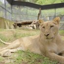 한사자농장 이미지