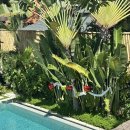 두곡리(팔각정)야외운동기구 | 발리 스미냑 독채 풀빌라 추천｜9인 가족 숙소 수아르 스미냑(The Suar Seminyak) 여행 후기