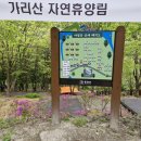 가리산자연휴양림 야영장 이미지