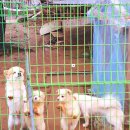 천태암 | 충남서산용한점집 천태암에서 삼재풀이를 했던 후기