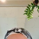 대치1-116 | 대치동 미용실 추천 저자극 천연염색 유트헤어 대치점 새치염색 후기