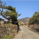 초이지아 이미지