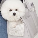 엘르독 이미지