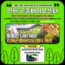 원주곤충마을박물관 이미지