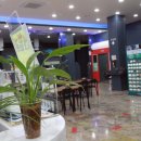 광주스크린 골프 이미지