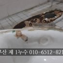 정심전기조명