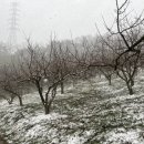 더나농장 이미지