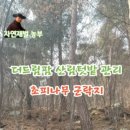 더드림팜 이미지